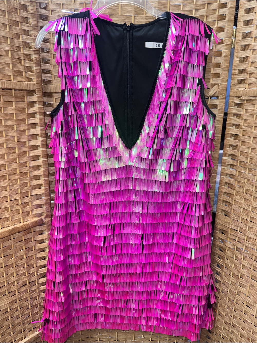 Taddashi Shoji Sequin Fringe dress